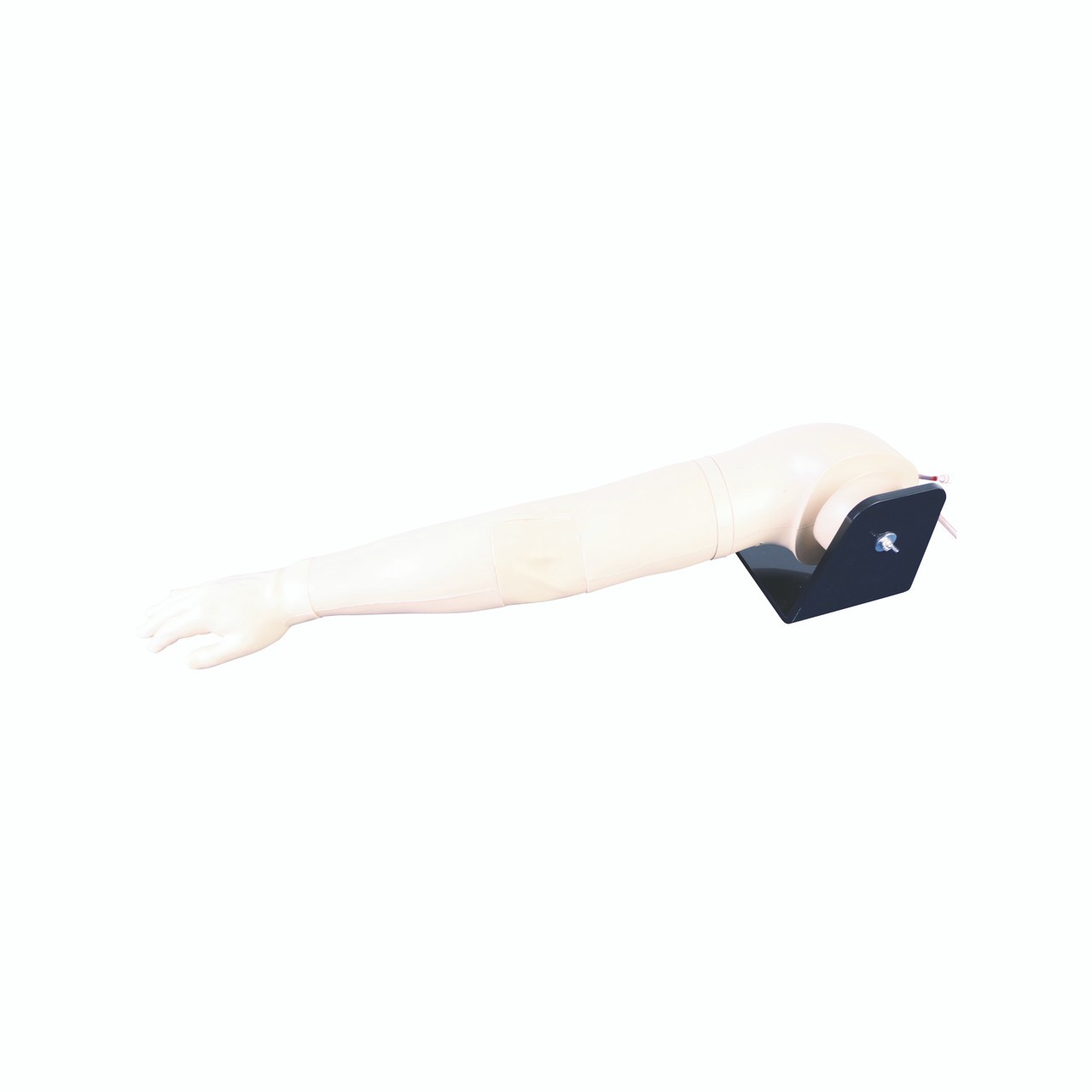 Anatomy Lab Advanced IV Training Arm - Overview