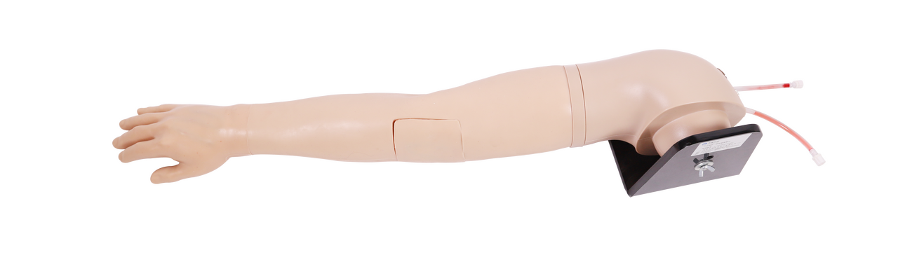 Anatomy Lab Advanced IV Training Arm - Top View