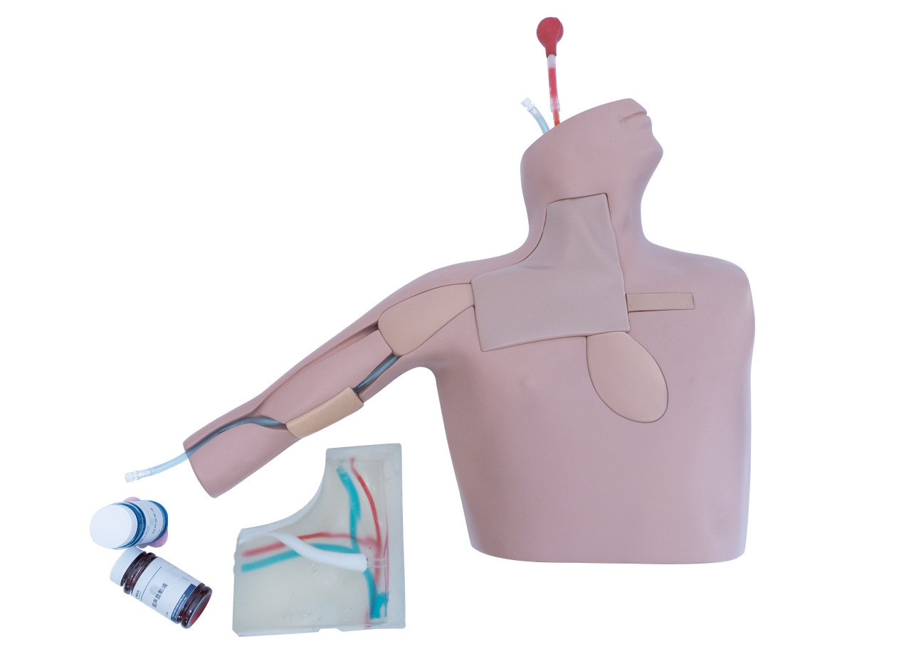 Anatomy Lab Central Venous Catheterization Ultrasound Training Model - Overview
