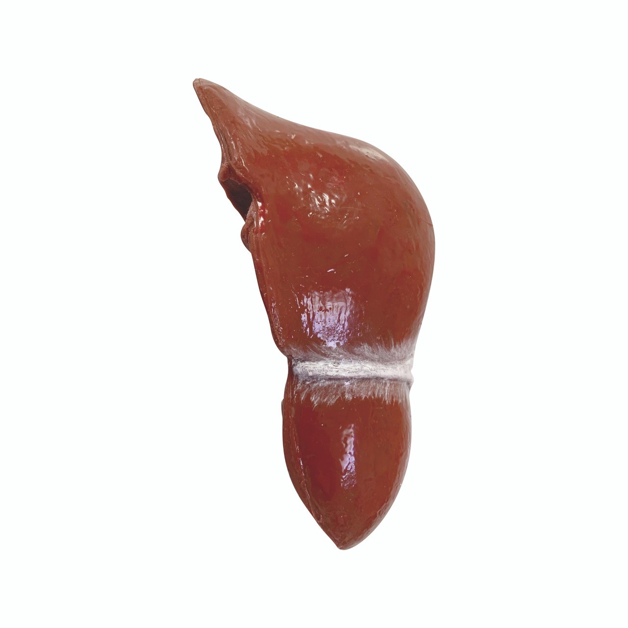 Anatomy Lab Wearable Thoracoabdominal Surgical Operation Suit - Organ Suit_Liver