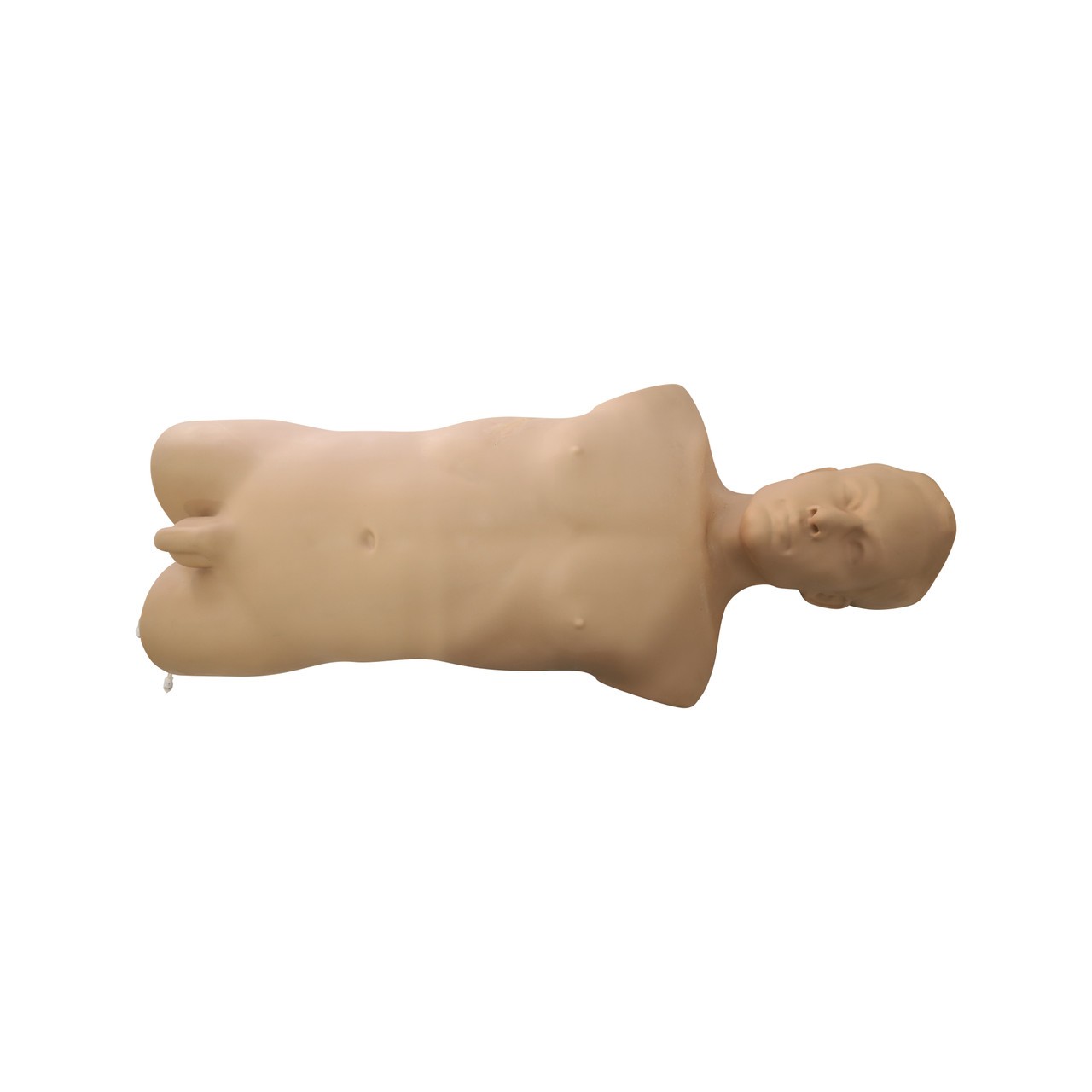 Anatomy Lab FAST Ultrasound Training Phantom - Overview