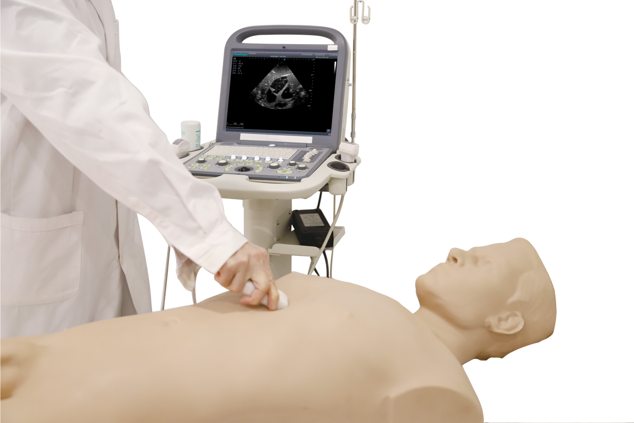 Anatomy Lab FAST Ultrasound Training Phantom - Demo view