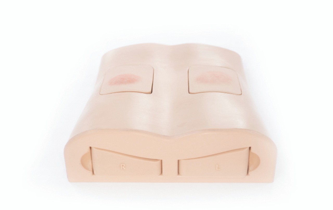 Anatomy Lab Abscess Drainage Ultrasound Trainer - Overview
