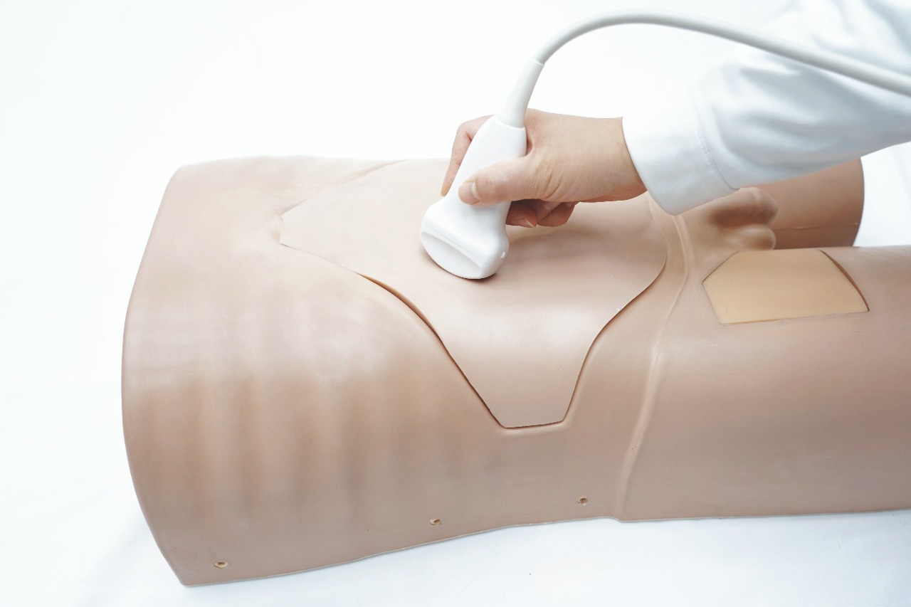 Anatomy Lab Abdominal Ultrasound Phantom - Overview
