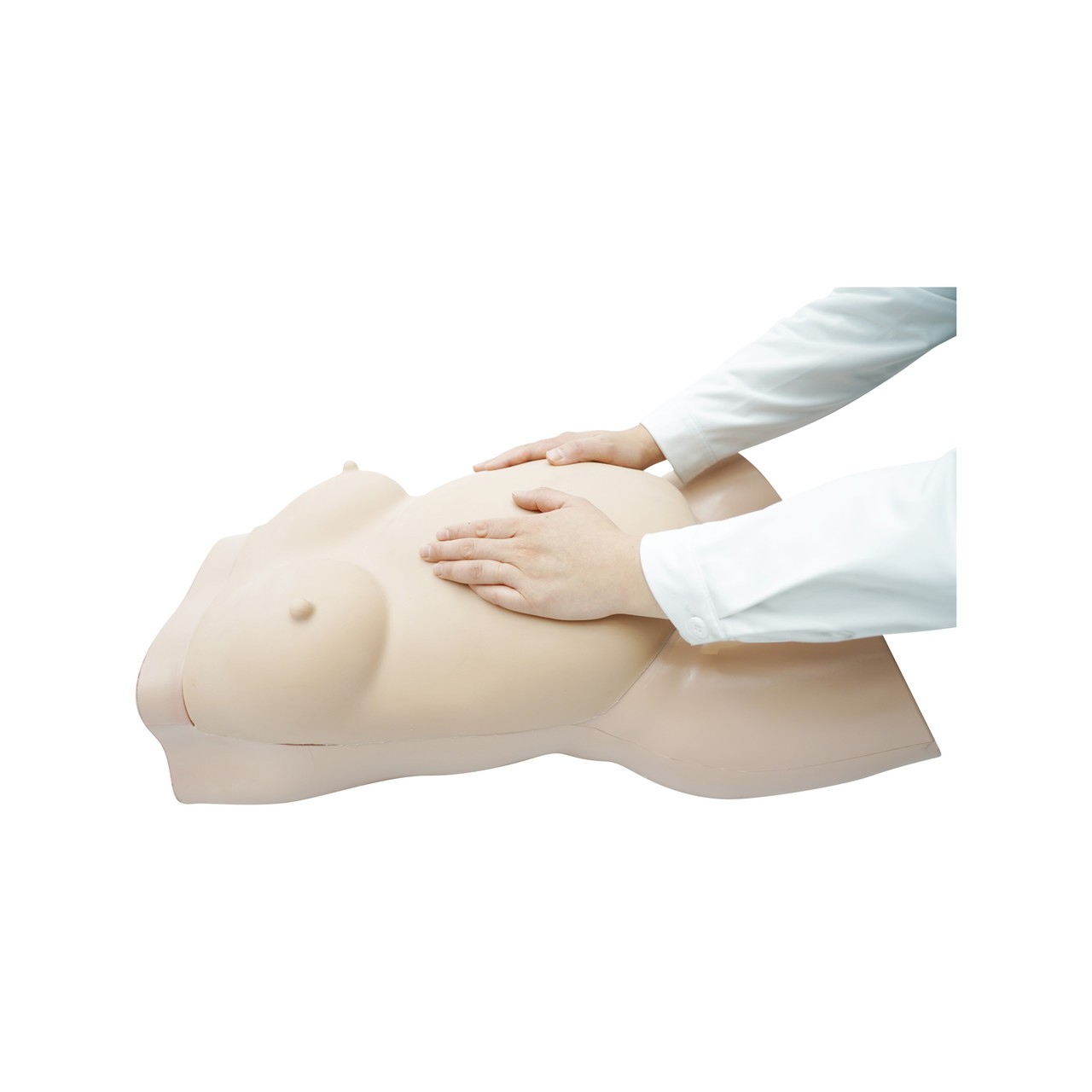 Anatomy Lab Obstetric Examination Trainer Torso - Demo view