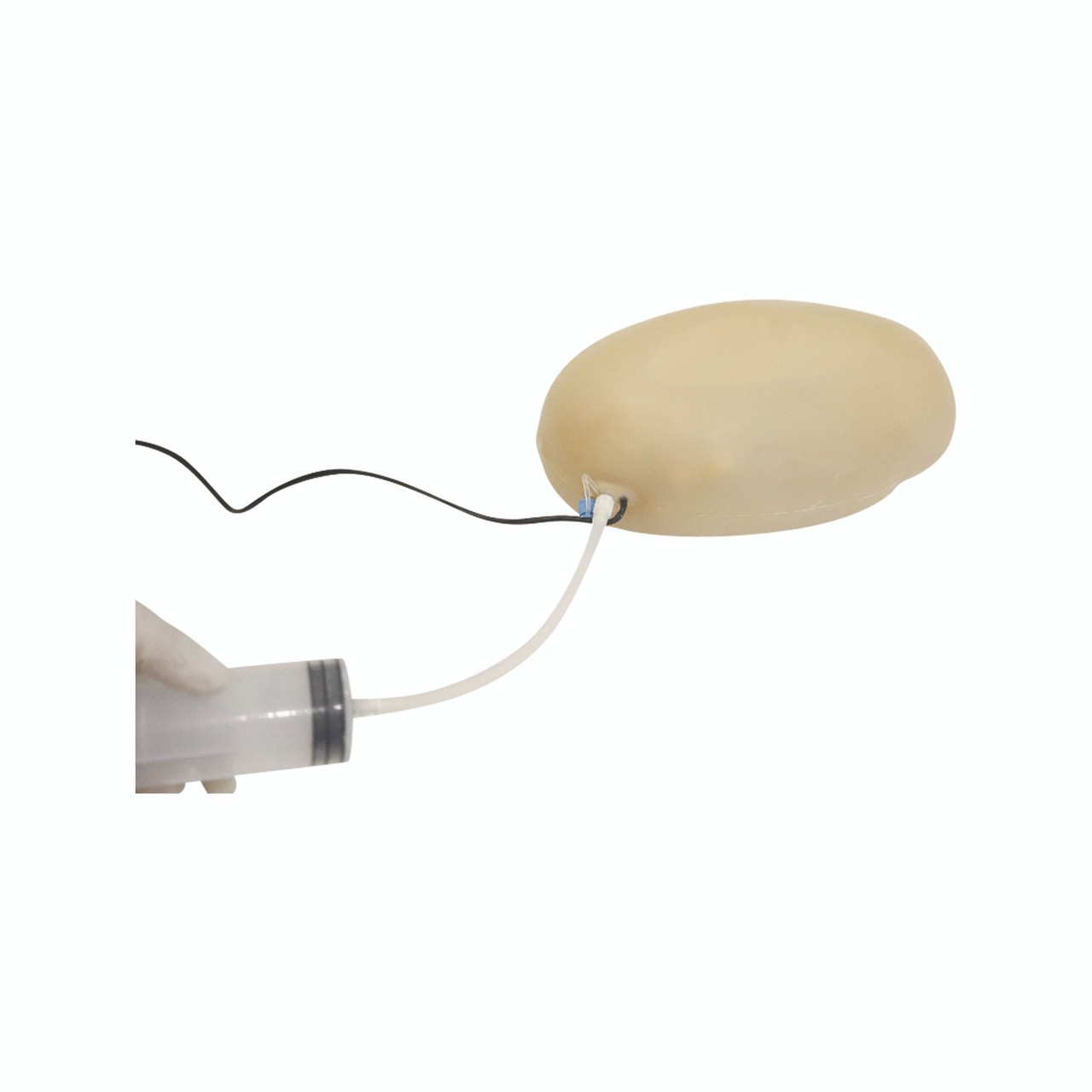 Anatomy Lab Obstetric Examination Trainer Torso - Amniotic Sac