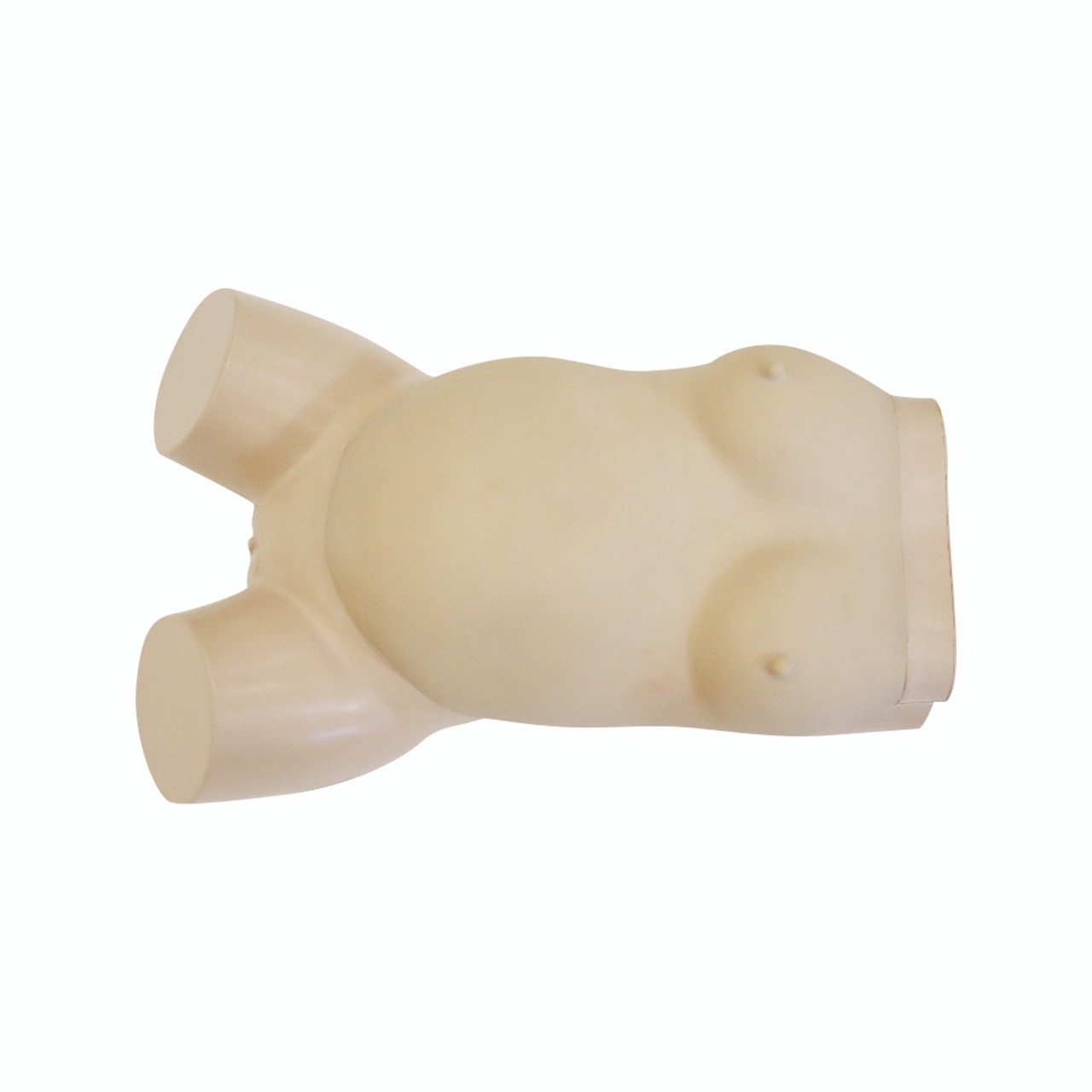 Anatomy Lab Obstetric Examination Trainer Torso - Top view