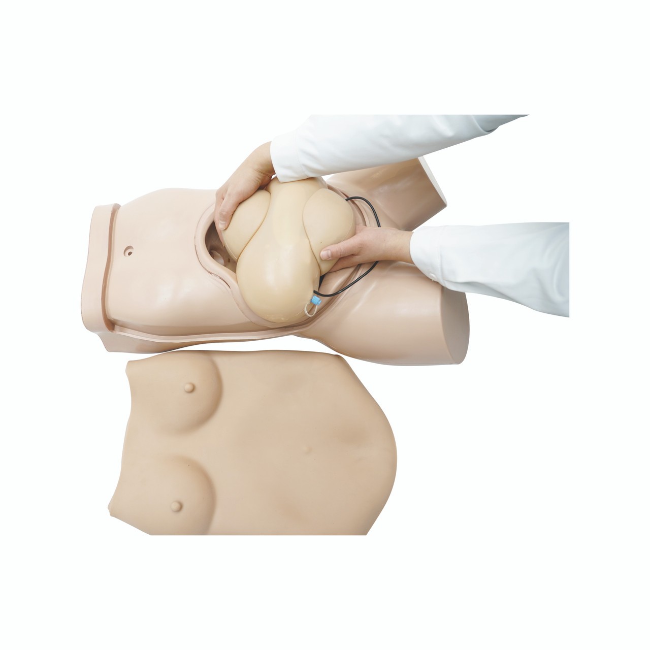 Anatomy Lab Obstetric Examination Trainer Torso