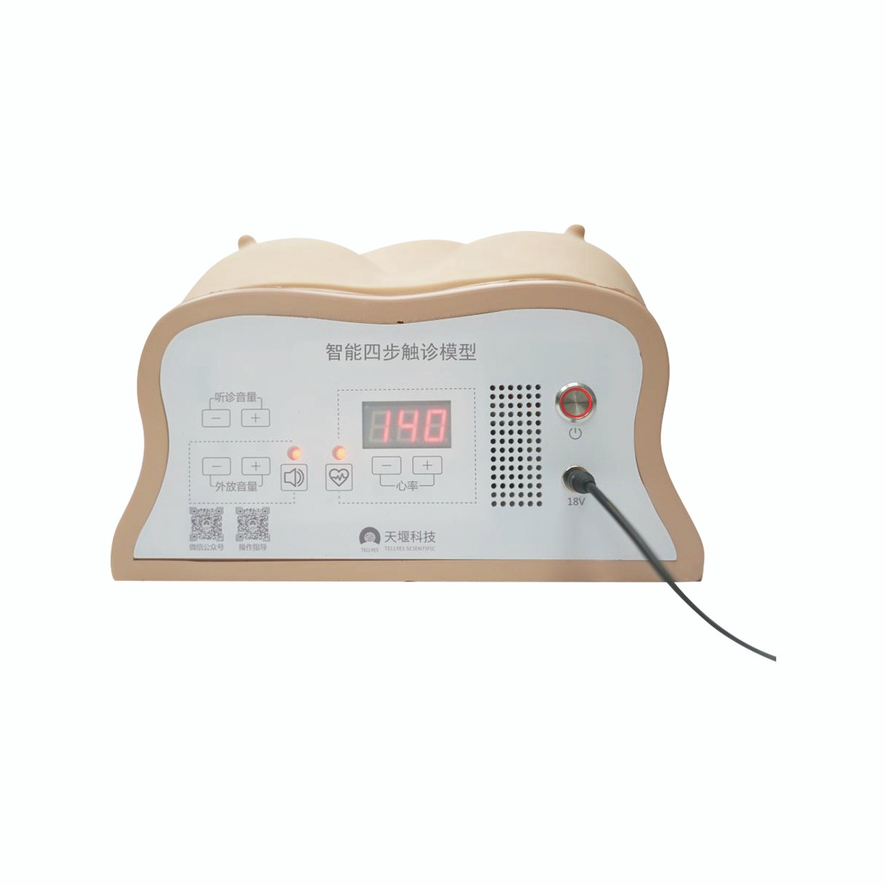 Anatomy Lab Obstetric Examination Trainer Torso - Panel