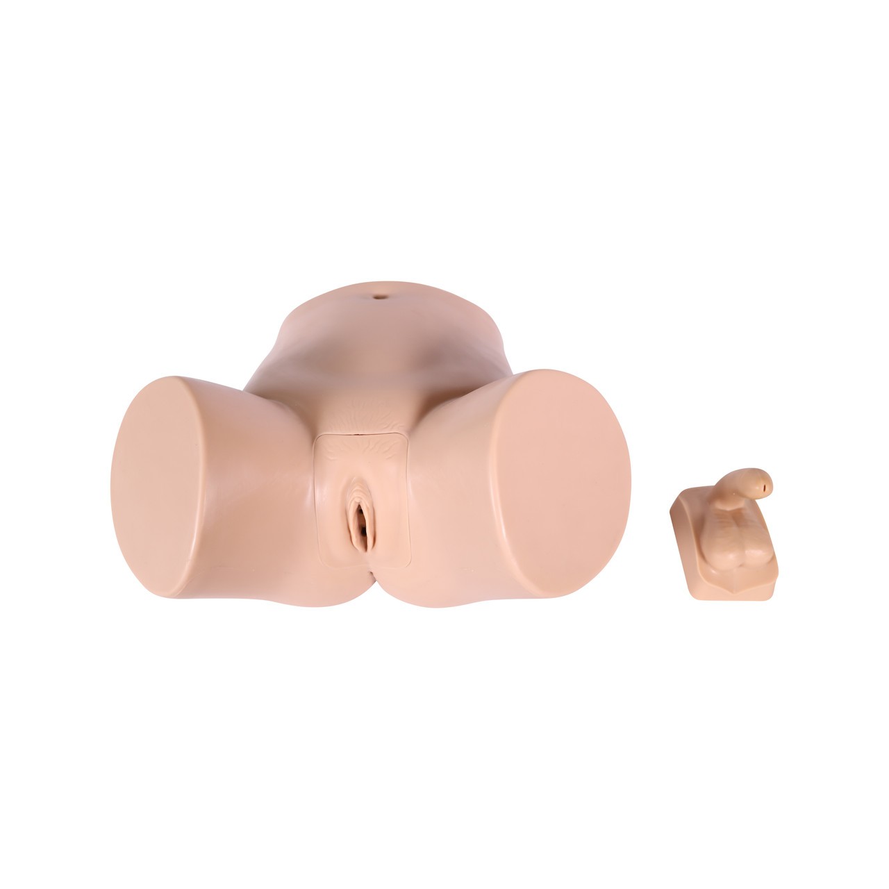 Anatomy Lab Catheterization Model - Overview