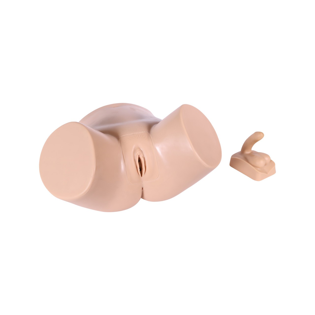 Anatomy Lab Catheterization Model - Right side view