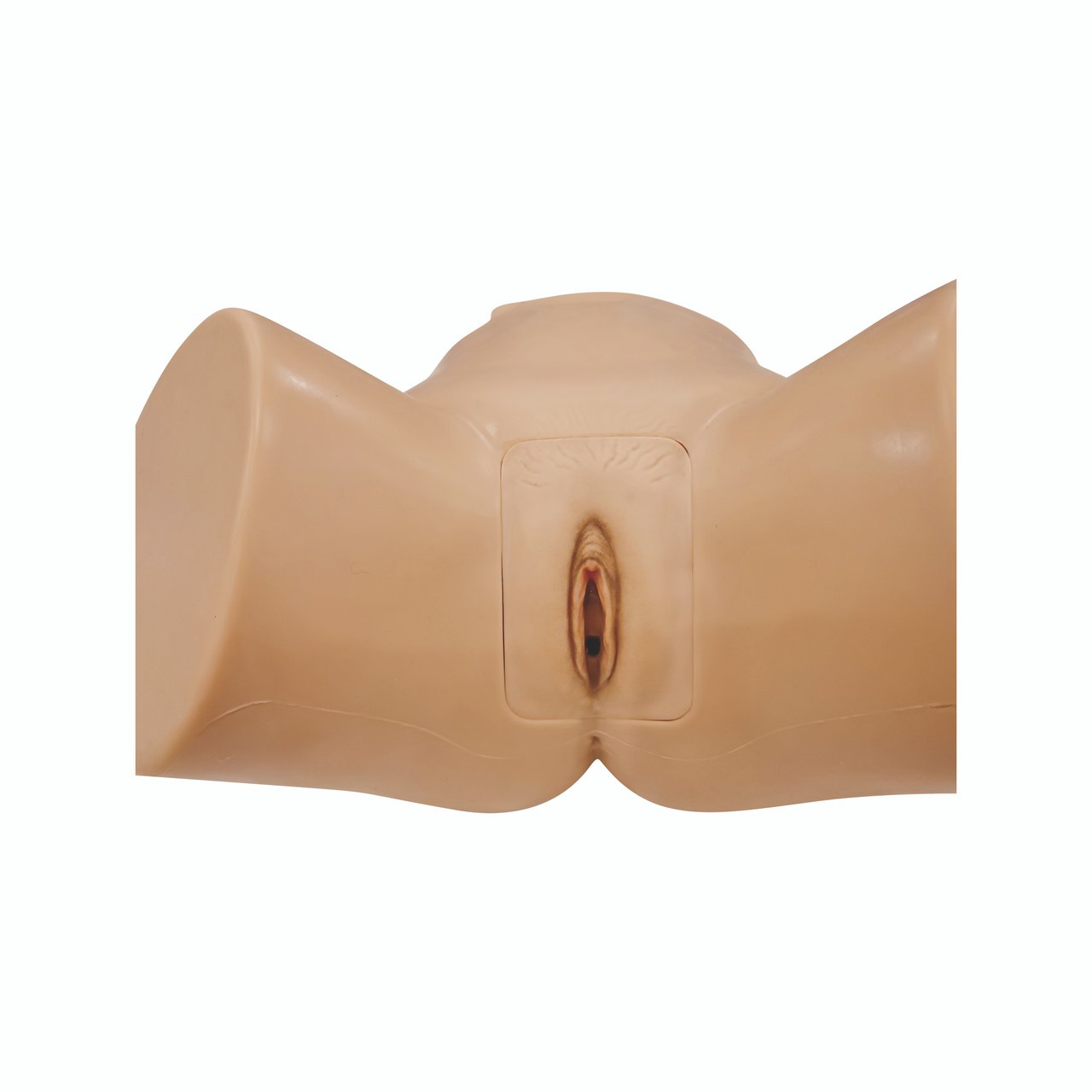 Anatomy Lab Catheterization Model - Female genitalia