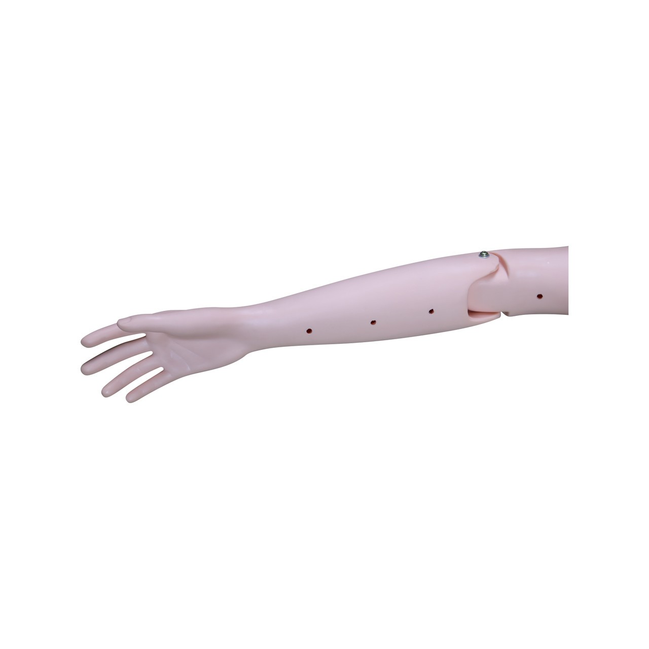 Anatomy Lab Adult Water Rescue Training System - Arm Anatomy Lab Adult Water Rescue Training System - Arm