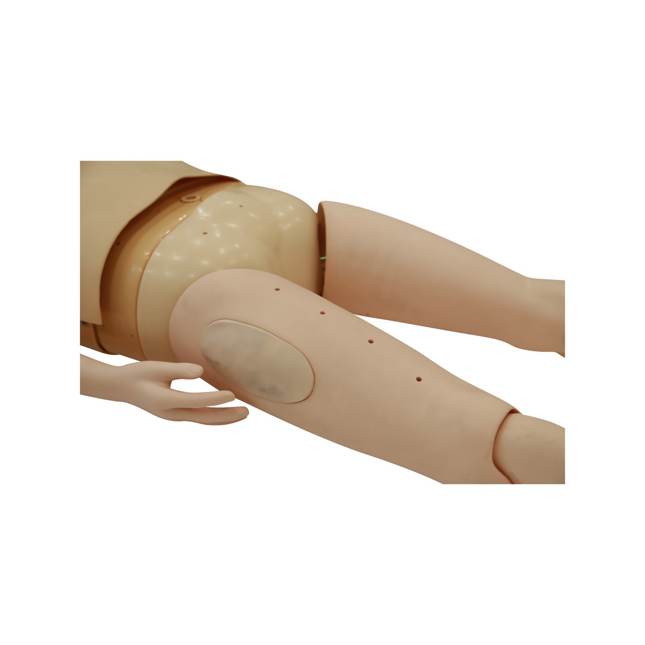 Anatomy Lab Adult Water Recue Training System - Leg