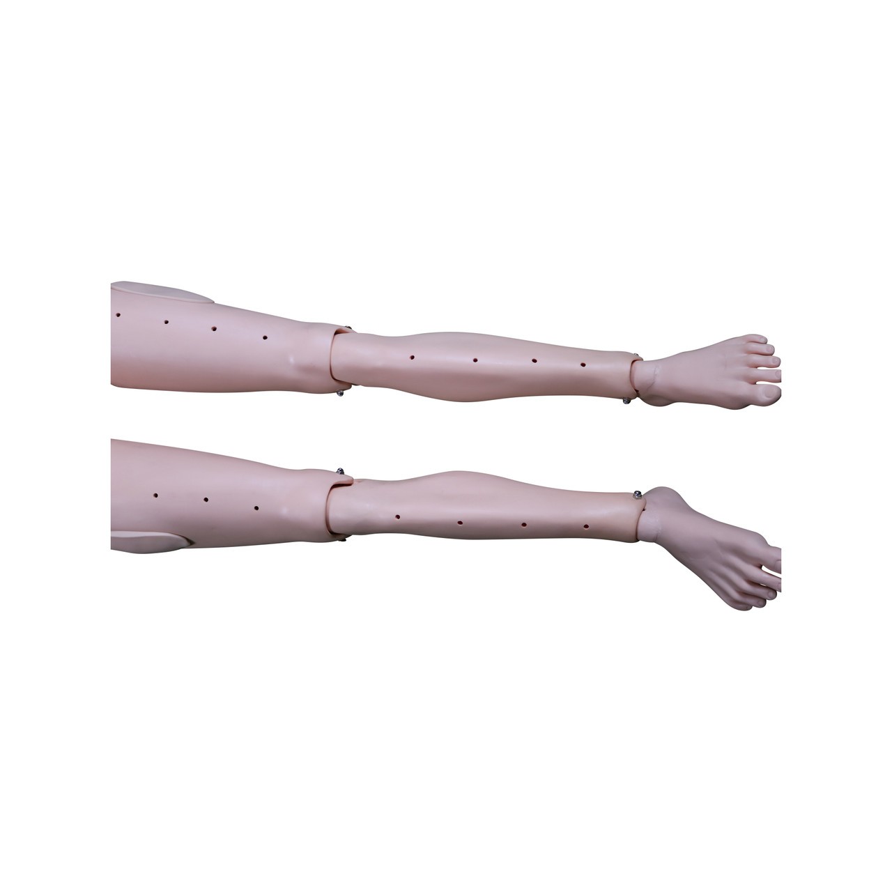 Anatomy Lab Adult Water Recue Training System - Foot