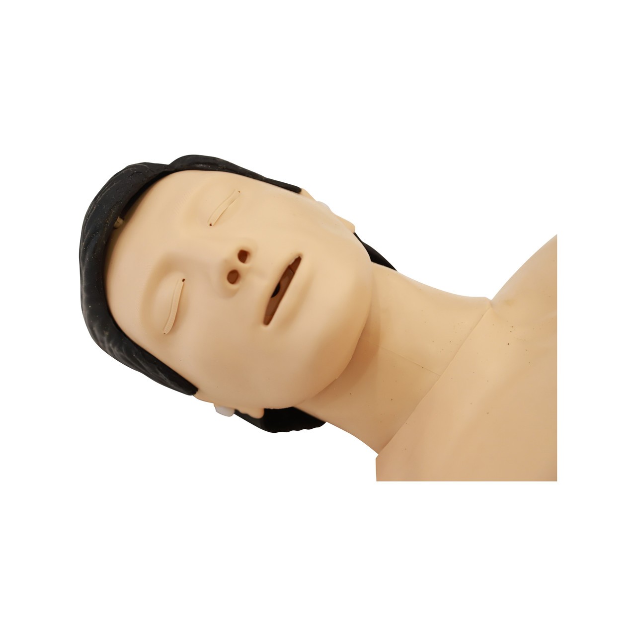 Anatomy Lab Adult Water Recue Training System - Head