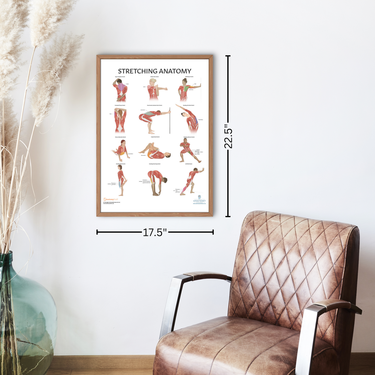 Anatomy Lab Stretching Laminated Poster