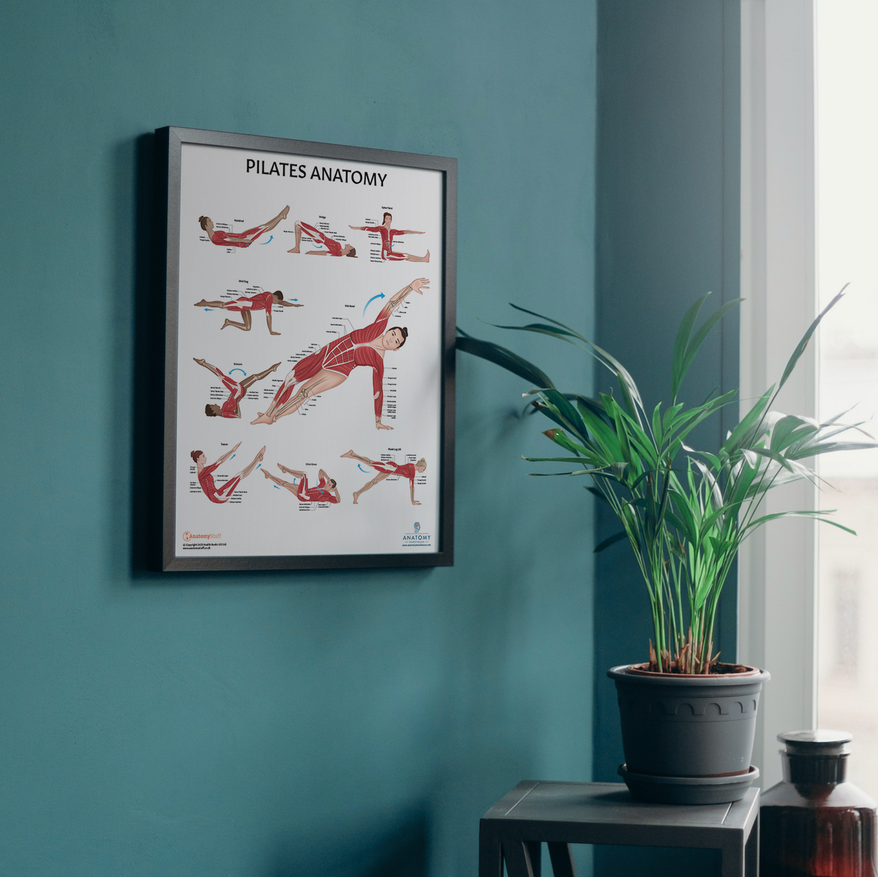 Anatomy Lab Pilates Laminated Poster