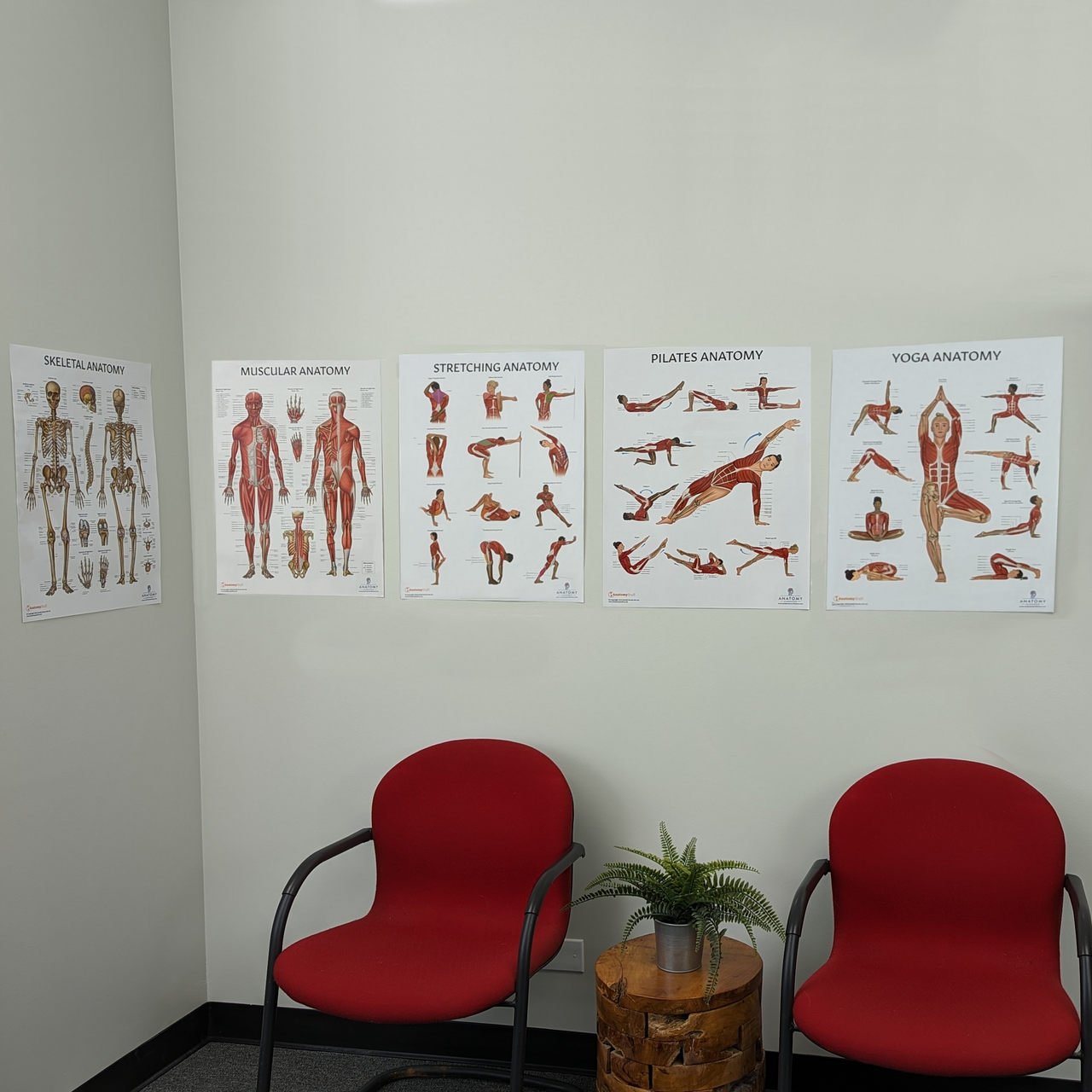The Anatomy Lab Human Skeletal and Muscular Systems with Yoga, Pilates, and Stretching Fitness Poster Set