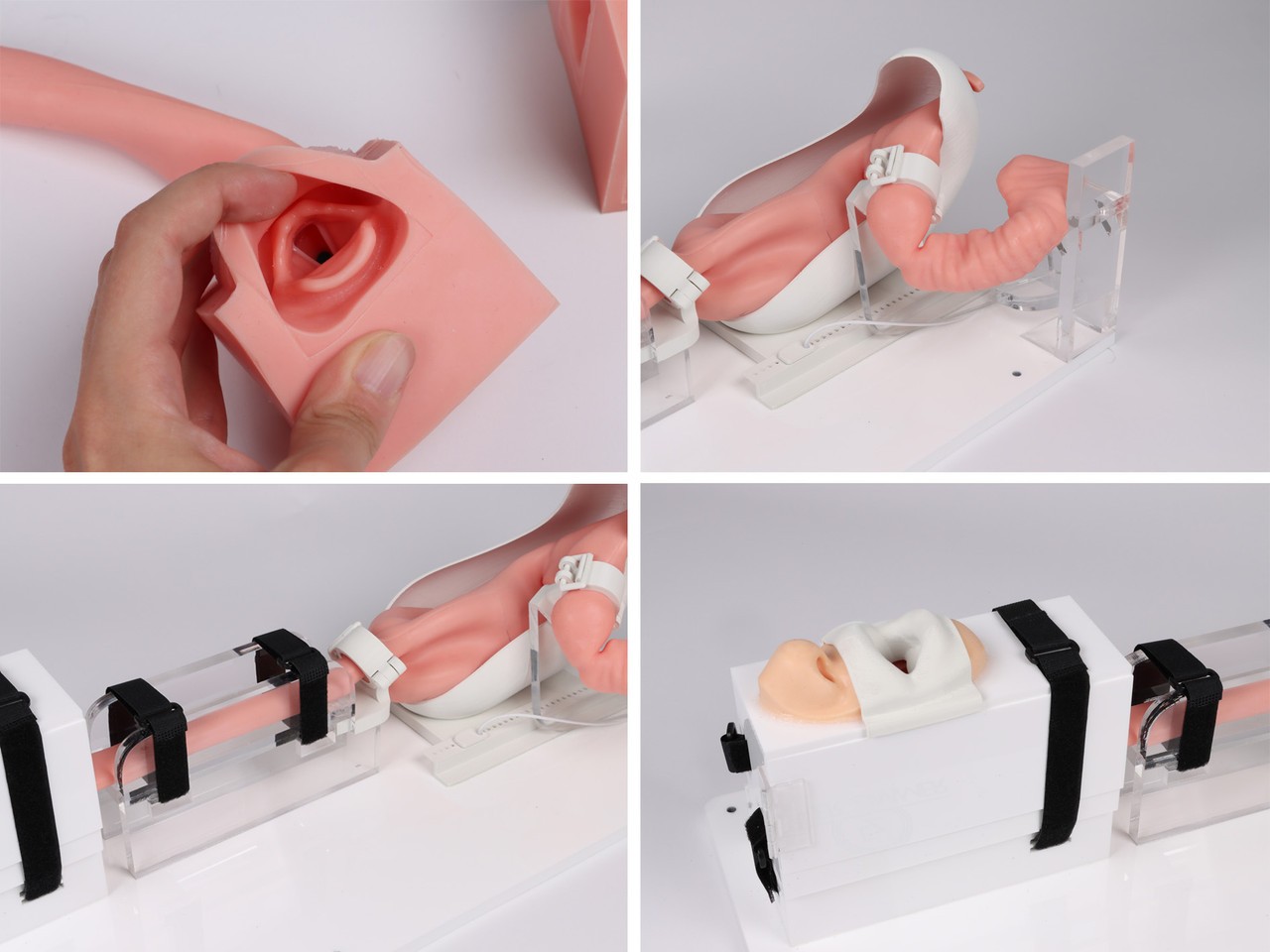 Erler-Zimmer EGD Simulator | Anatomy Warehouse