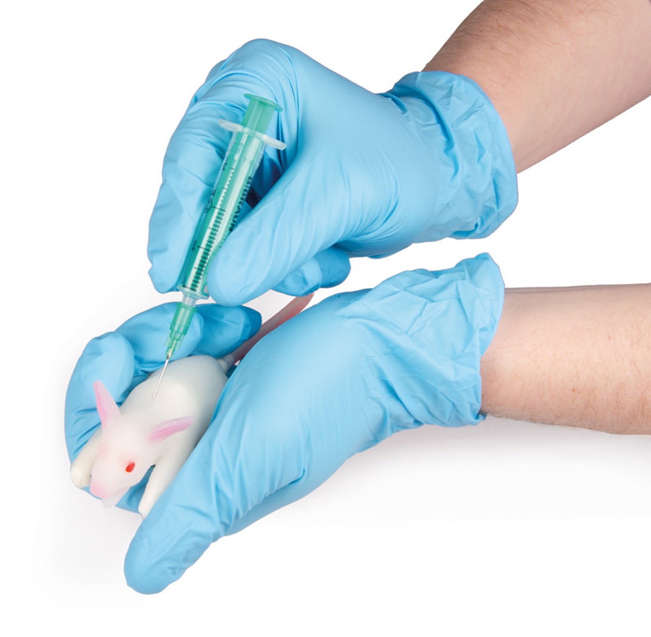 Erler-Zimmer Simulation Mouse Model