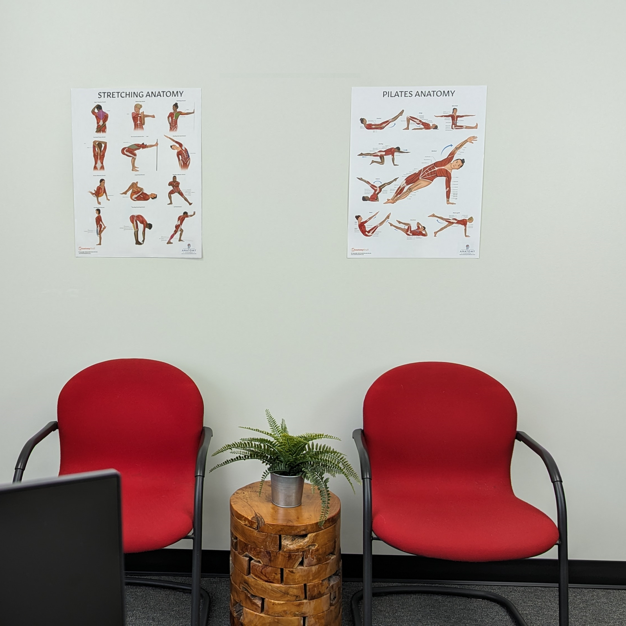 The Anatomy Lab Stretching and Pilates Fitness Laminated Poster Set