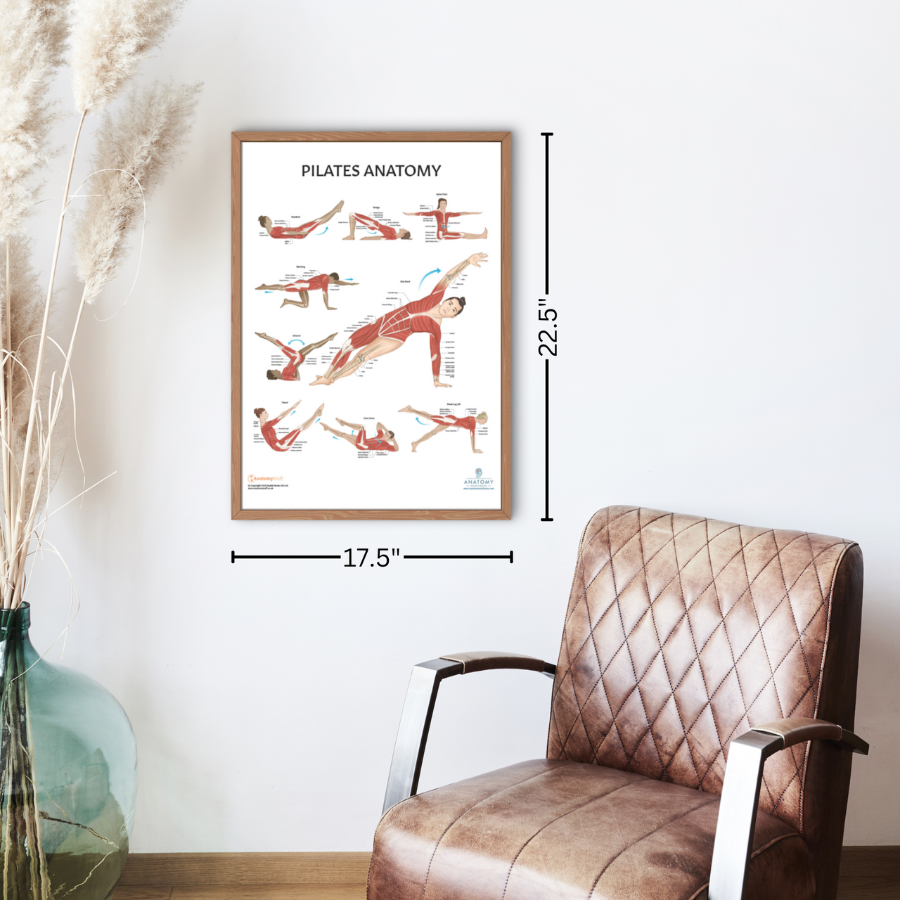 The Anatomy Lab Stretching and Pilates Fitness Laminated Poster Set