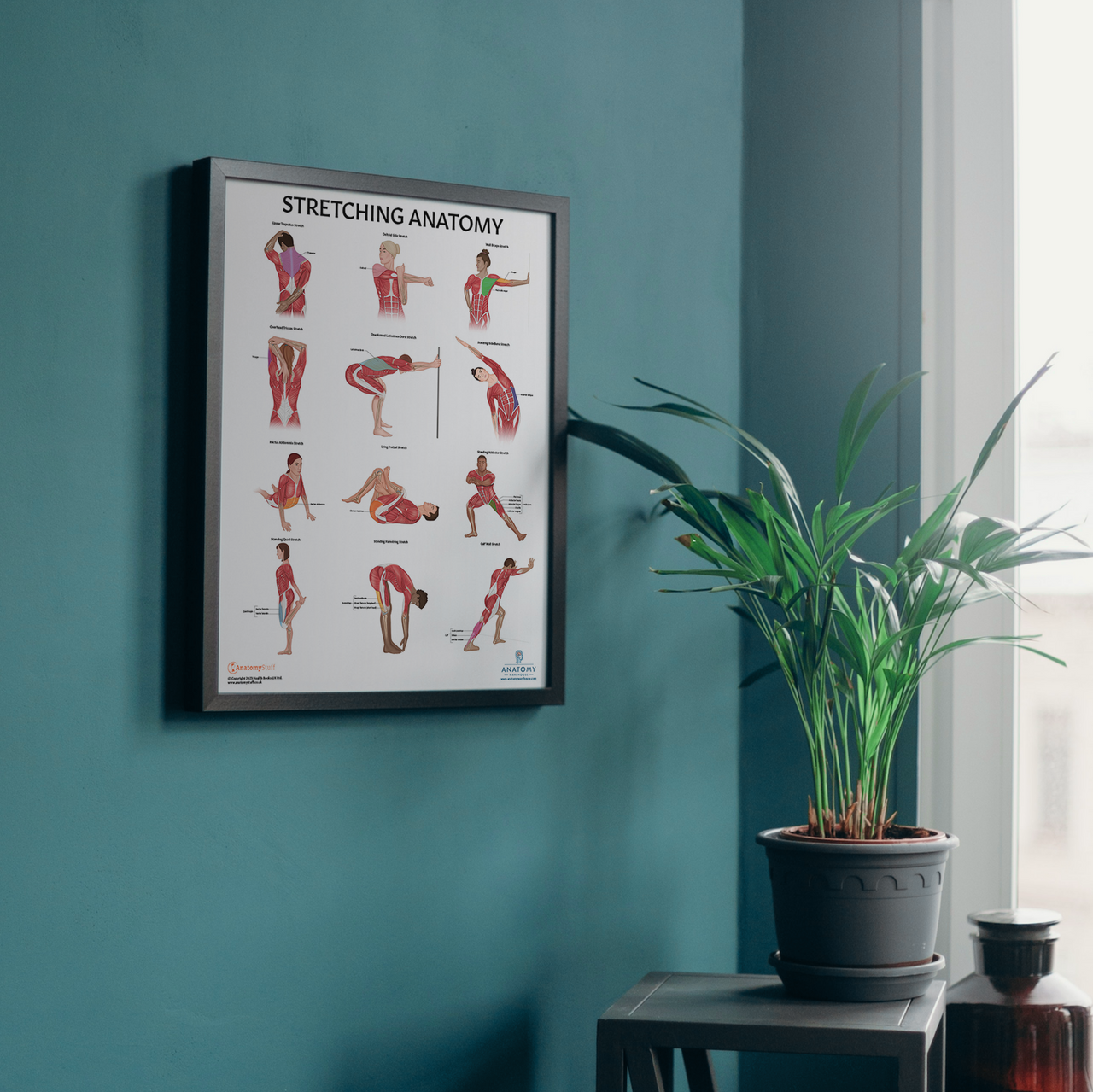 The Anatomy Lab Stretching and Yoga Fitness Laminated Poster Set