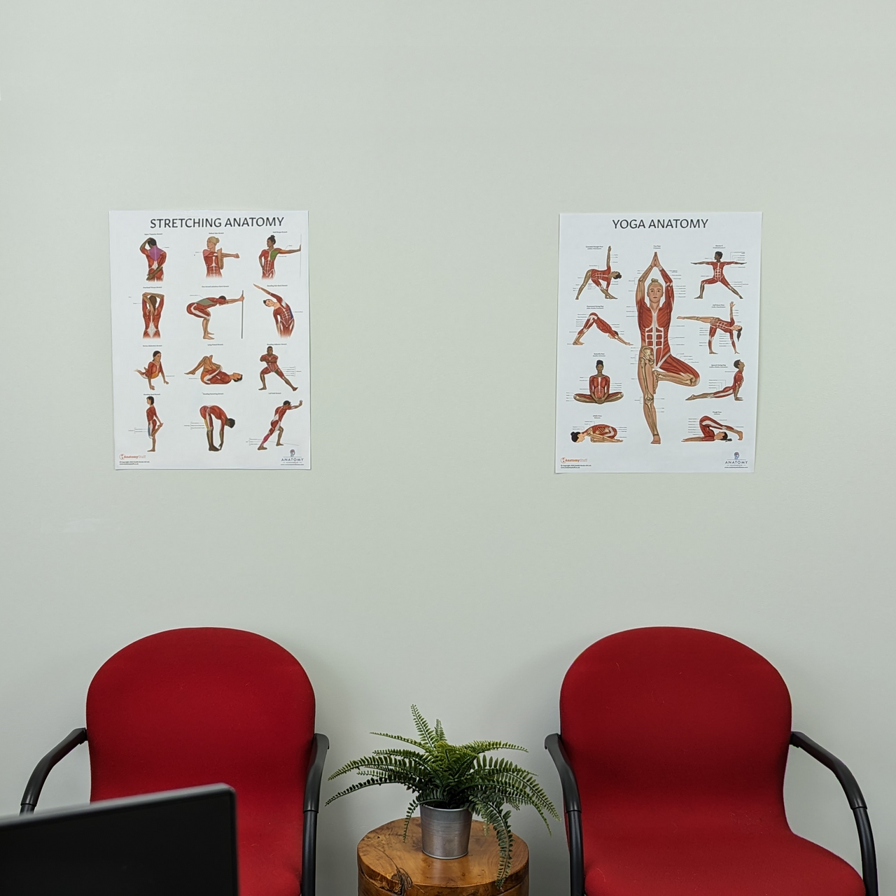 The Anatomy Lab Stretching and Yoga Fitness Laminated Poster Set