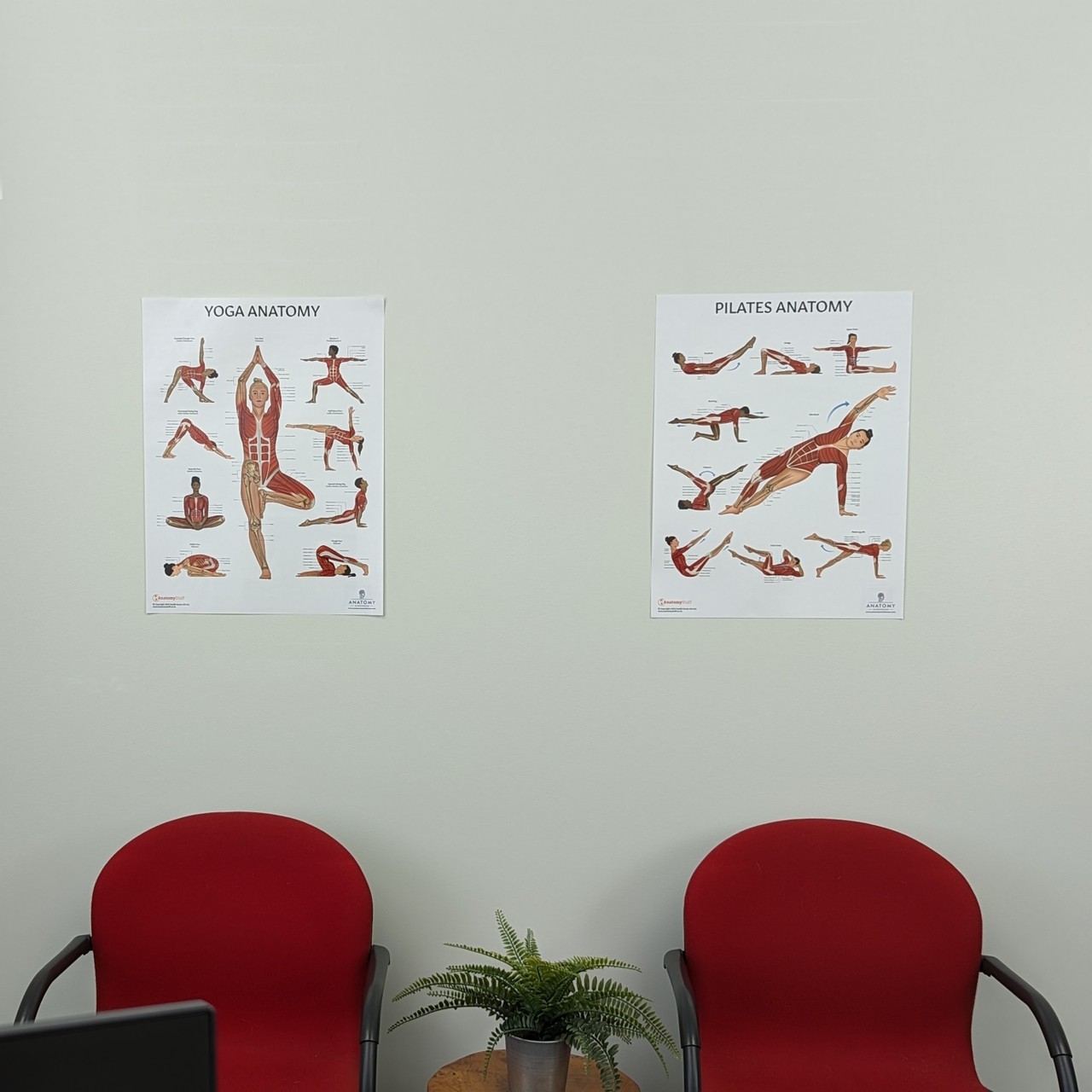 The Anatomy Lab Yoga and Pilates Fitness Laminated Poster Set on the wall