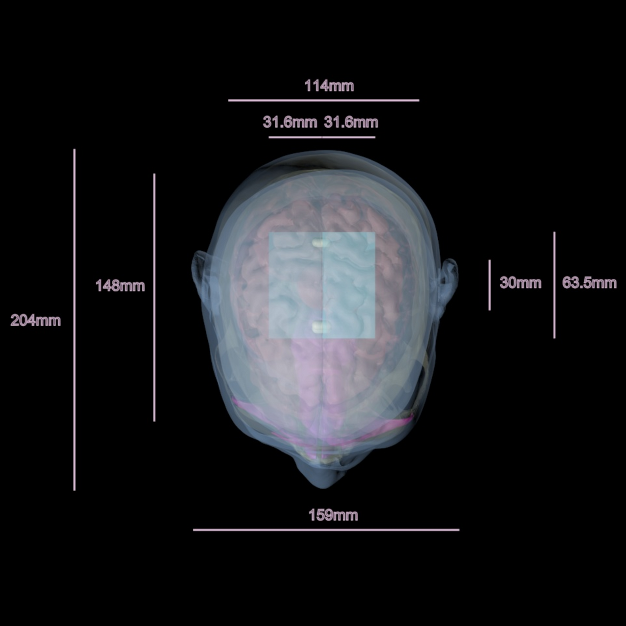 Adult Head QC1 for X-Ray CT and MRI Phantom Model