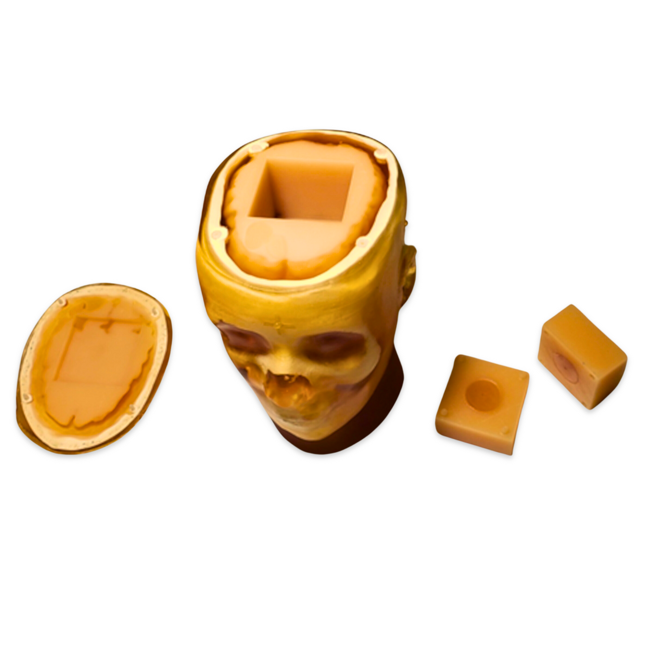 Adult Head QC1 for X-Ray CT and MRI Phantom Model
