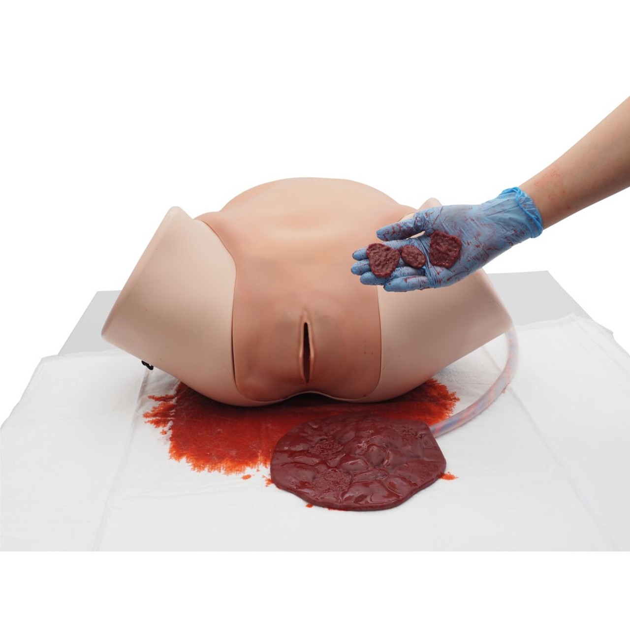 Postpartum Hemorrhage Simulator  PPH Trainer Pro
