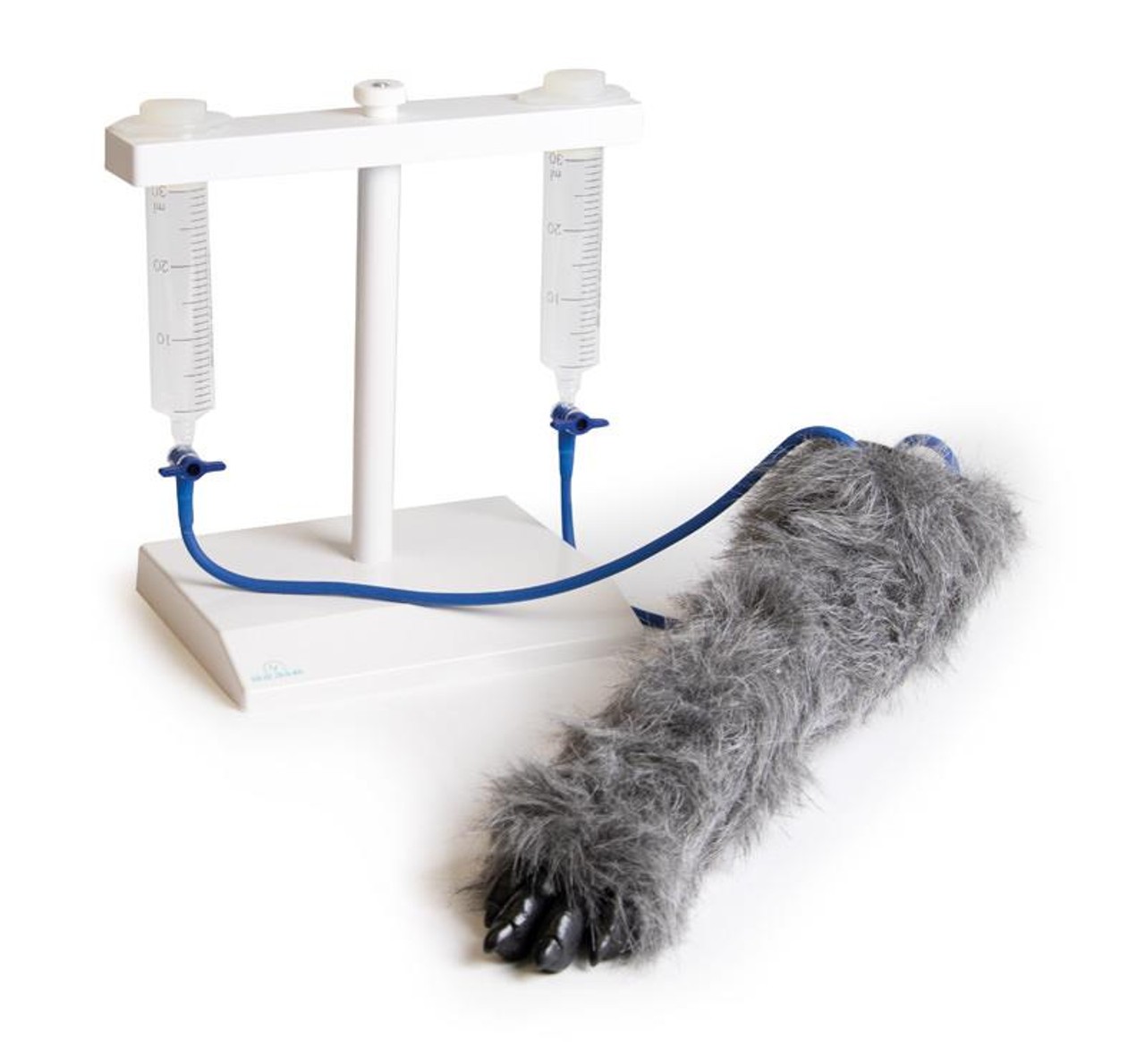 Canine Leg IV Injection Trainer