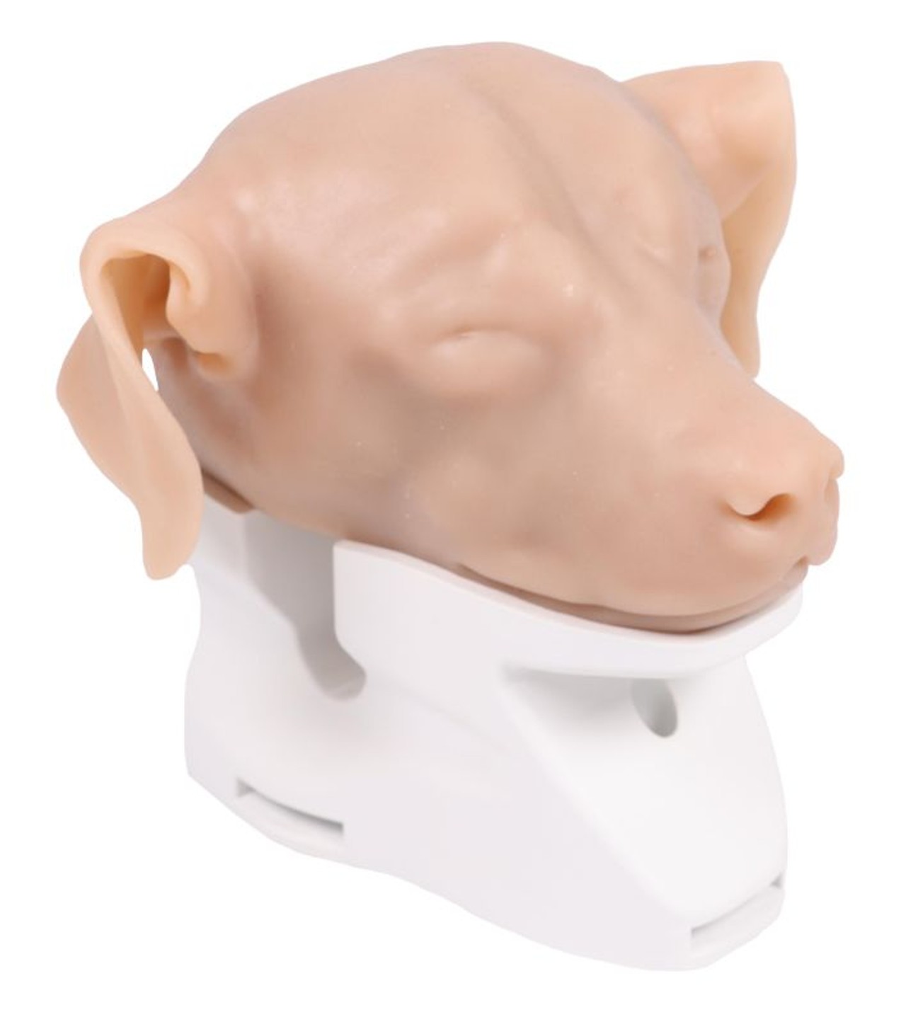 K9 Otoscopy Simulator
