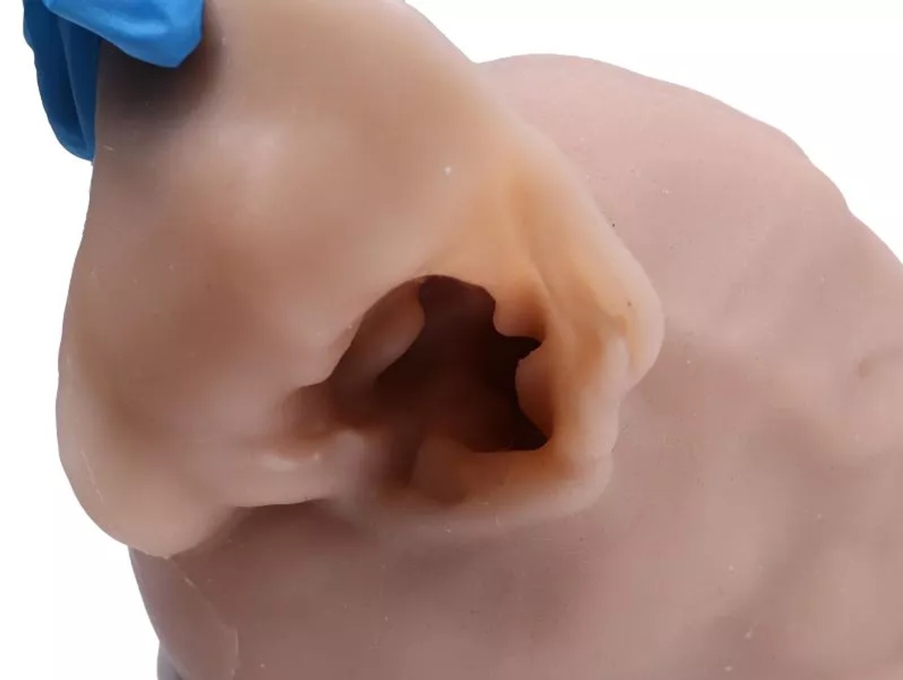 K9 Otoscopy Simulator