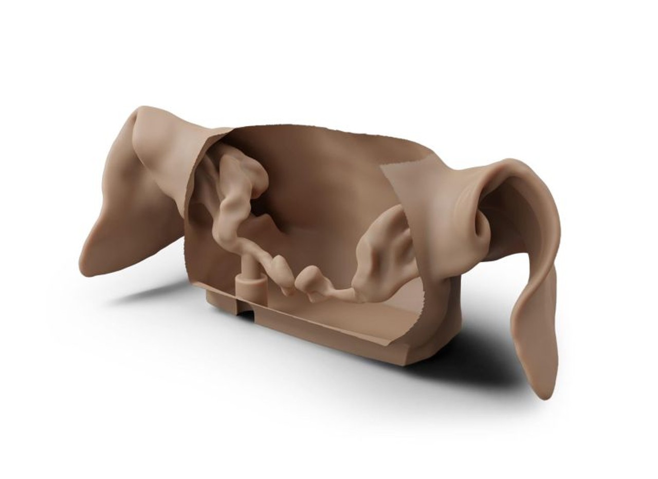 K9 Otoscopy Simulator