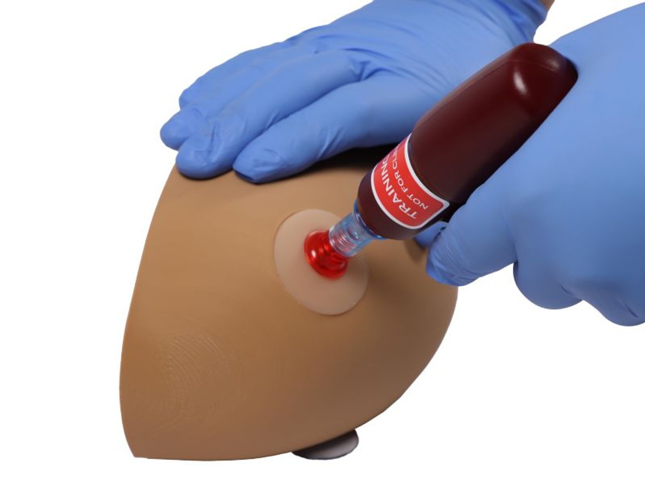 Amy Arm Intraosseous Task Trainer