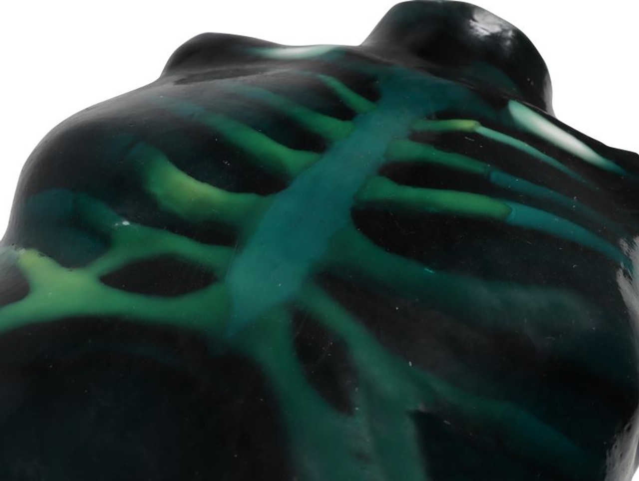 Echo Eddie Advanced Ultrasound Examination Trainer