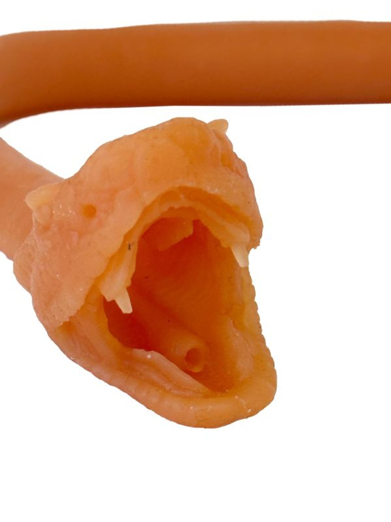 Endotracheal intubation of the snake