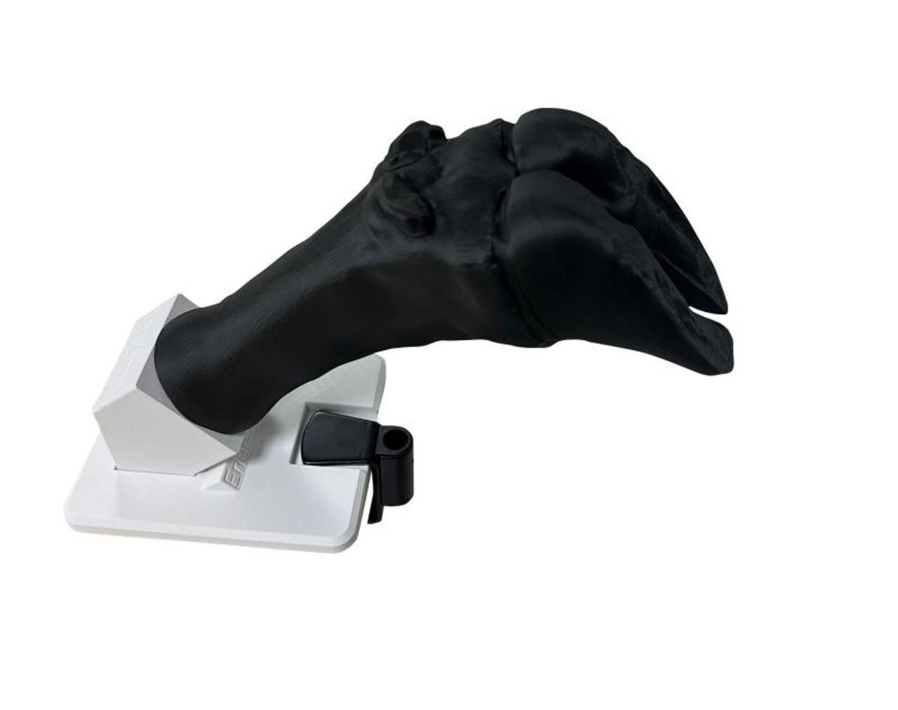 Bovine Hoof Bandage Simulator