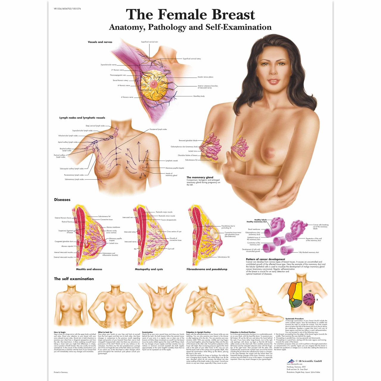 Wearable Breast Self Examination with Case, Dark Skin