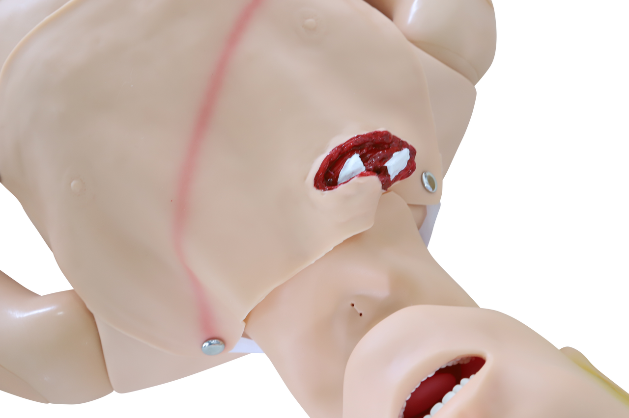 Manikin with multiple bleeding sites and injury simulation