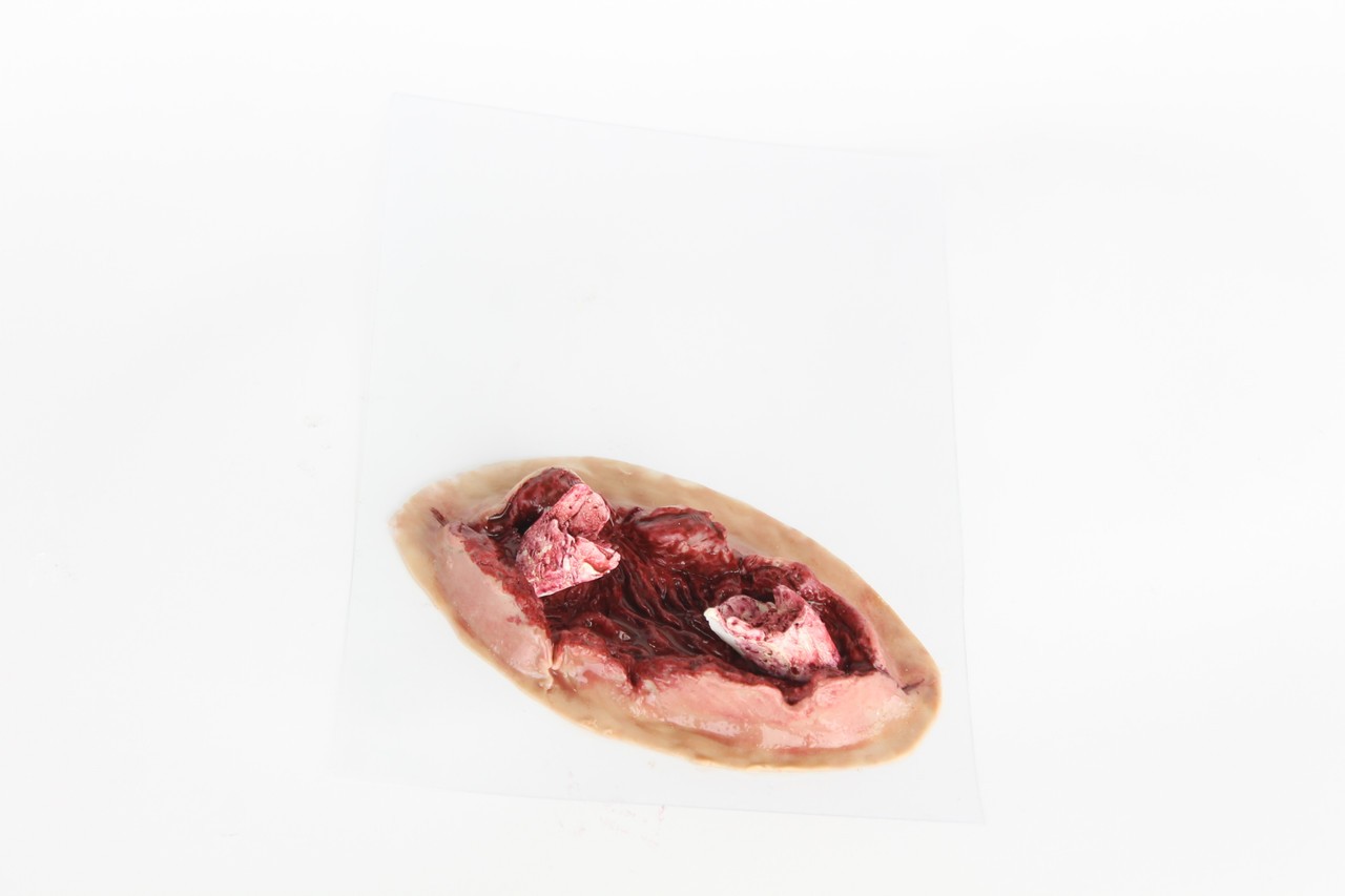 The Anatomy Lab Trauma Wound Moulage Kit
