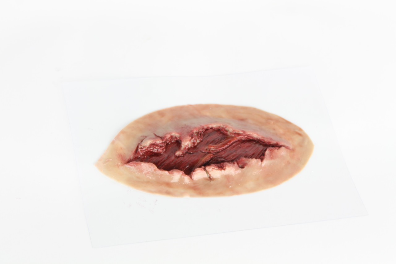 The Anatomy Lab Trauma Wound Moulage Kit