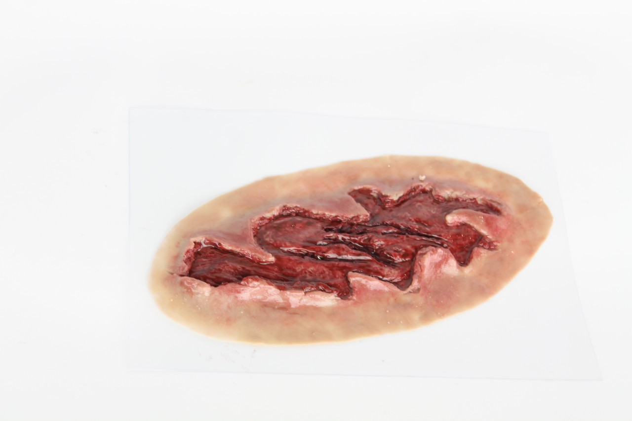 The Anatomy Lab Trauma Wound Moulage Kit