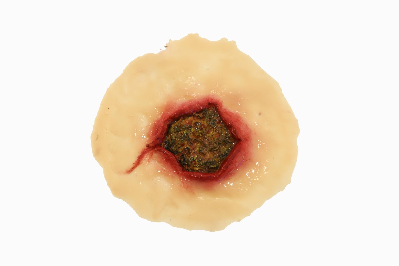 The Anatomy Lab Trauma Wound Moulage Kit