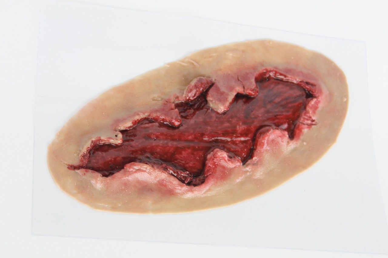 The Anatomy Lab Trauma Wound Moulage Kit
