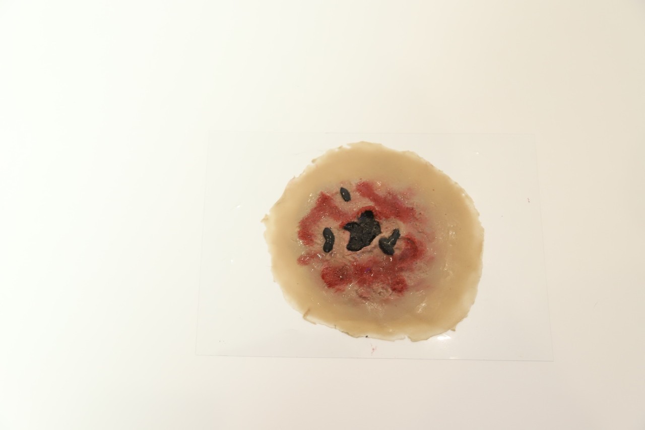 The Anatomy Lab Trauma Wound Moulage Kit