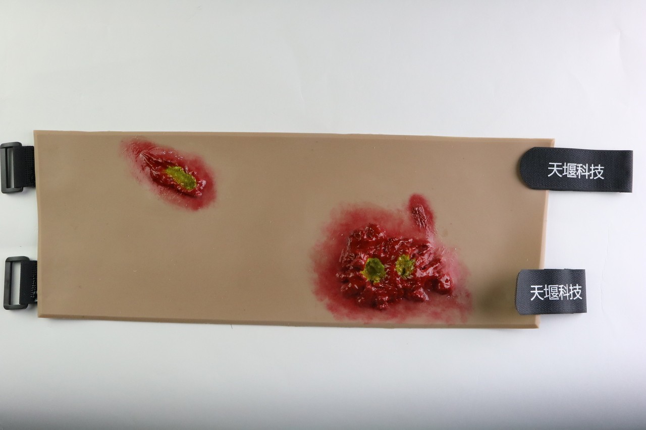 The Anatomy Lab Trauma Wound Moulage Kit